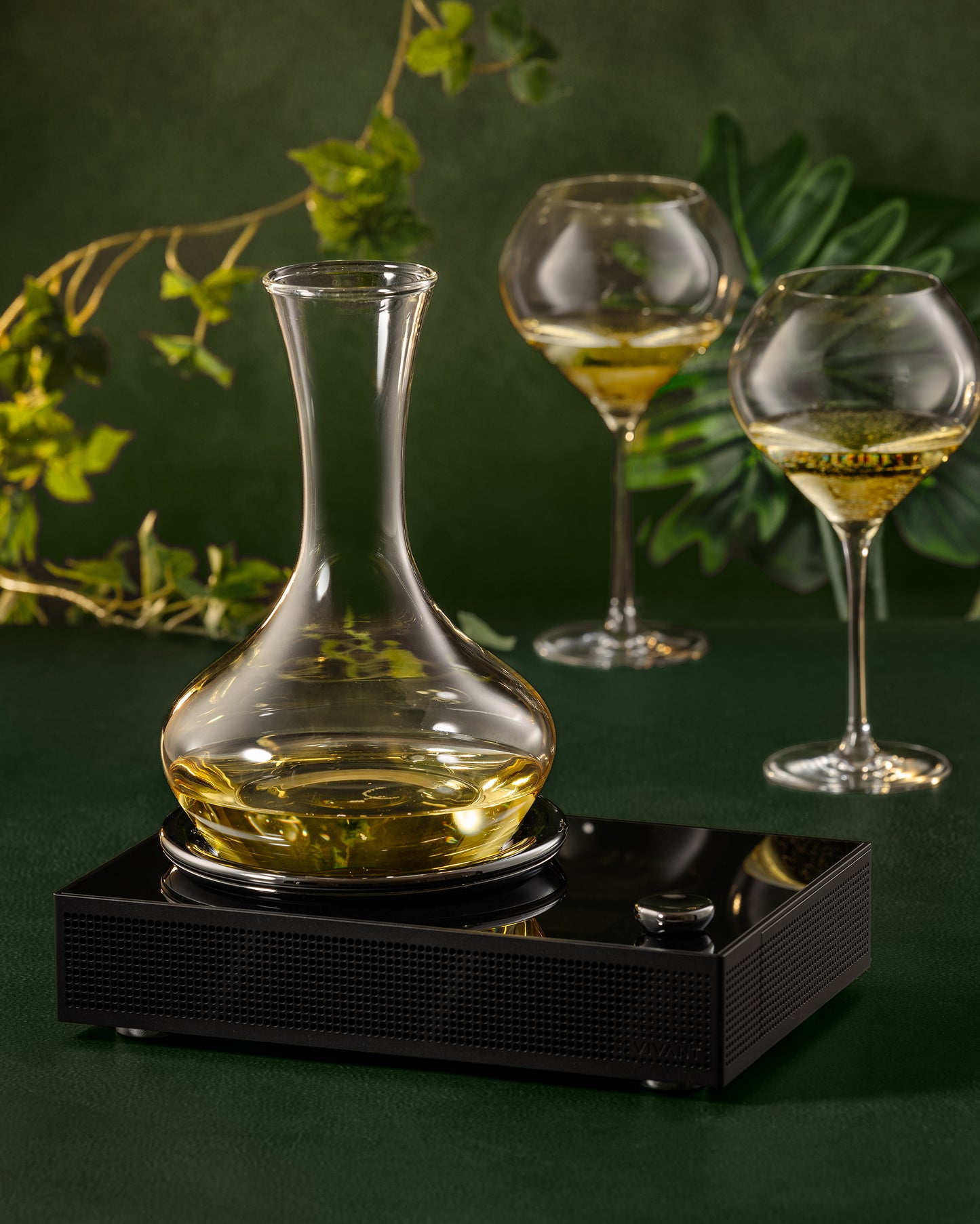 Black Titan with white wine