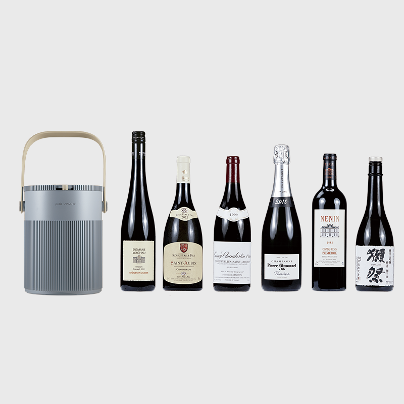 Enfriador activo ajustable para botellas de vino Lyra