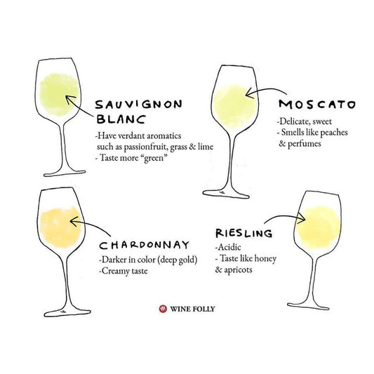 Our Go To Wine Guide!