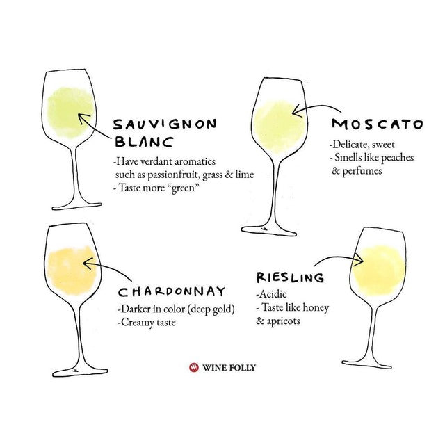 Our Go To Wine Guide!