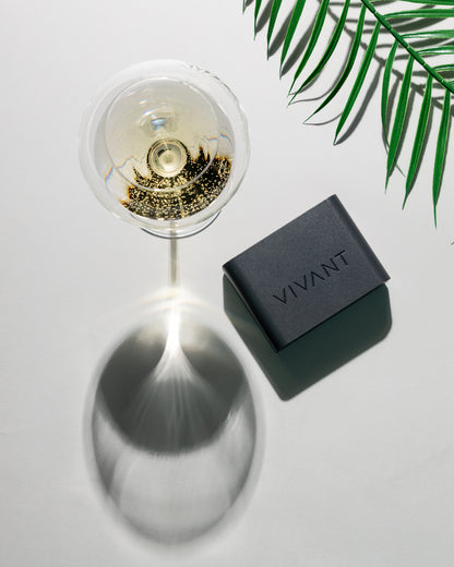 VIVANT Rechargeable Battery