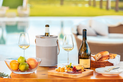 Lyra Silver Multi-Fit™ Wine Chiller